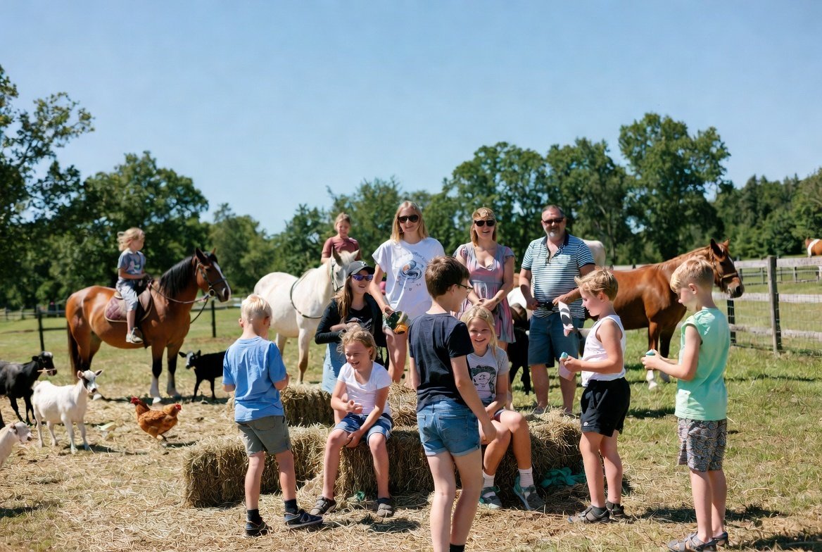 Farm animals theme